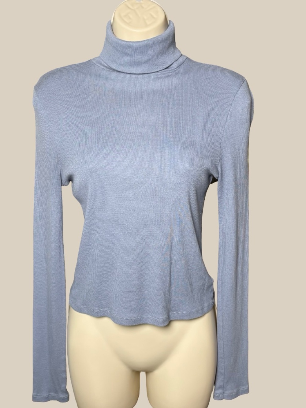Madewell Ribbed Turtleneck Top Blue Cotton Modal Long Sleeve Layering Tee SZ M